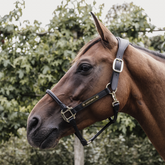 Kentucky Horsewear Anatomic Leather Head Halter